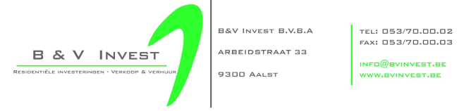 B&V Invest